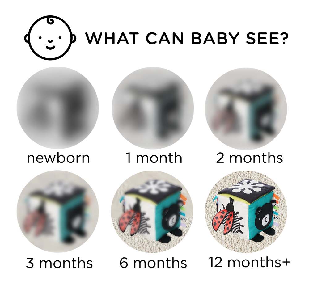 Depiction of baby's progression of visual development by showing images that progressively become less blurred as baby's ages.