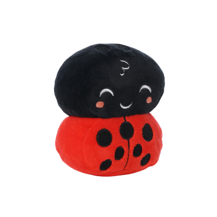 LEGO® DUPLO™ Ladybug